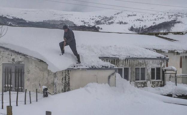 Nieve a paladas