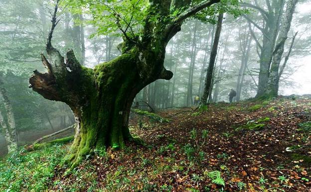 Campoo de Yuso se incorpora a la Alianza para las Montañas de la ONU