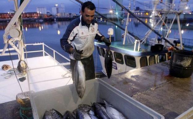 La flota del Cantábrico trata de «limar asperezas» con la francesa en la 'guerra del bonito'