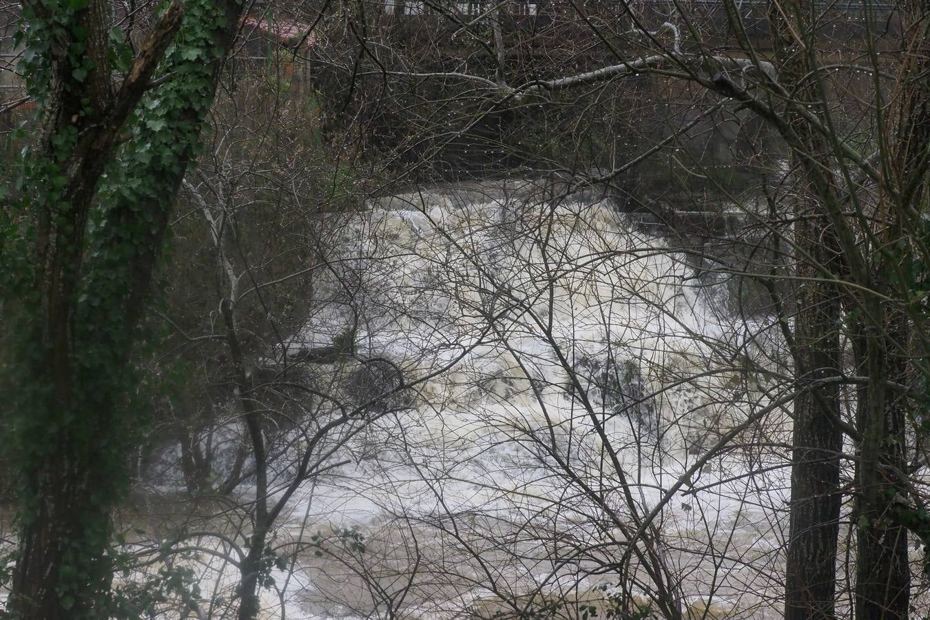 El río Miera sigue en valores normales, a pesar de la fuerza que ha tomado su caudal