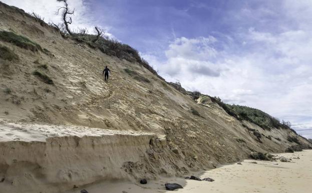 Las dunas de Somo se desmoronan