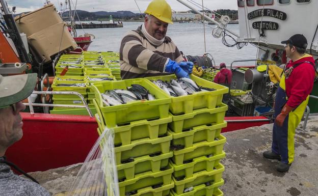 El verdel por fin llega a Cantabria