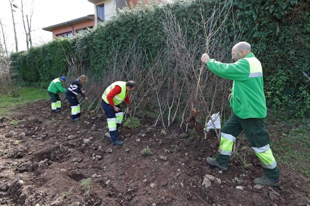 Cabezón se hace cada vez más verde