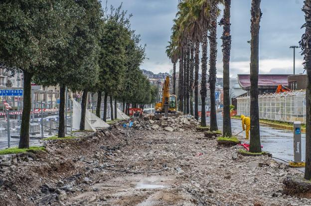 Avanza la obra del nuevo paseo peatonal entre árboles junto a la Estación Marítima