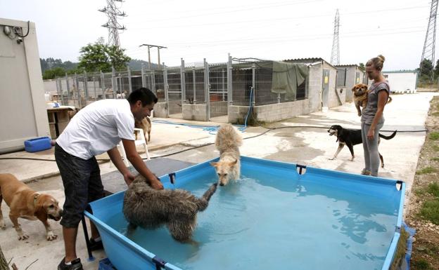 Fomento cede al Gobierno regional una parcela para el refugio canino de Torres