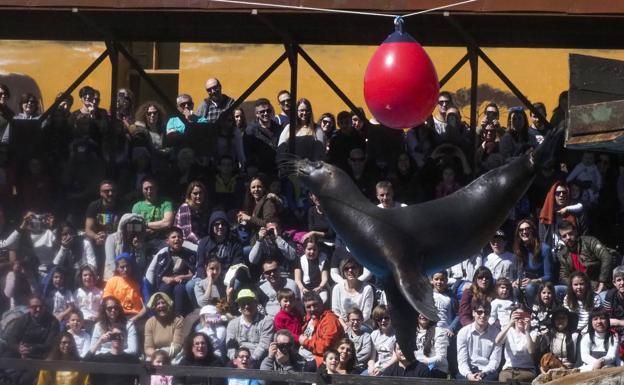 La ocupación en Semana Santa se queda en el 80% por el «brutal impacto» de la previsión del tiempo