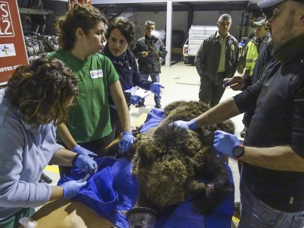 Cabárceno podrá tratar a sus animales en el centro de recuperación de Obregón