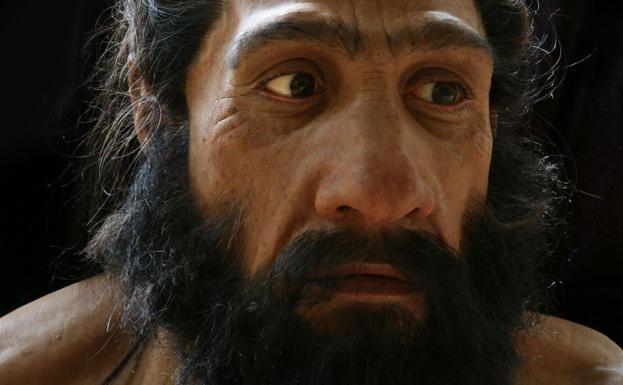 Los neandertales desarrollaron una gran nariz para sobrevivir al frío