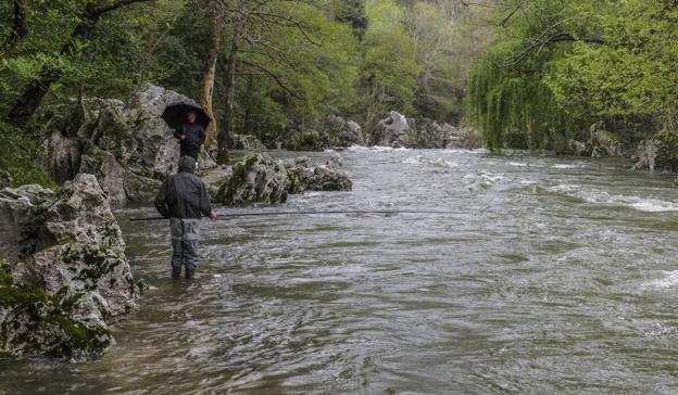 La mitad de los ríos de Cantabria muestran síntomas de deterioro