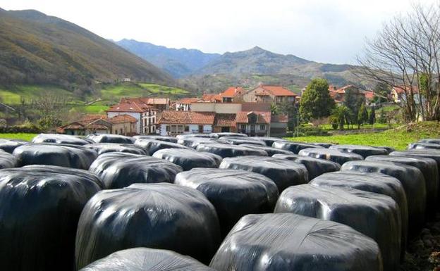 El Gobierno extenderá el proyecto para reciclar plásticos ganaderos a 36 municipios