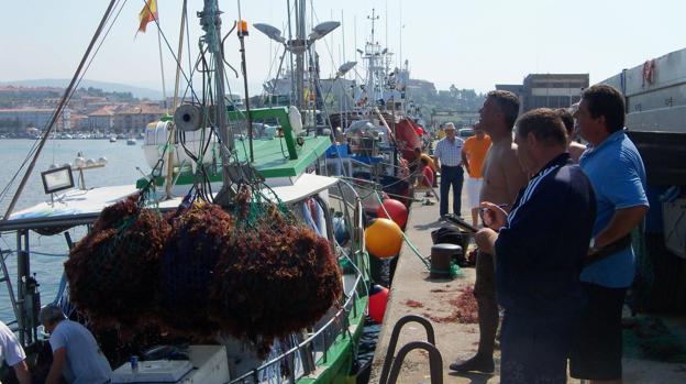 El puerto de San Vicente cuenta con nuevos recursos marinos