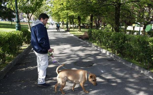 Colectivos de Torrelavega critican el retraso de la ordenanza sobre protección animal