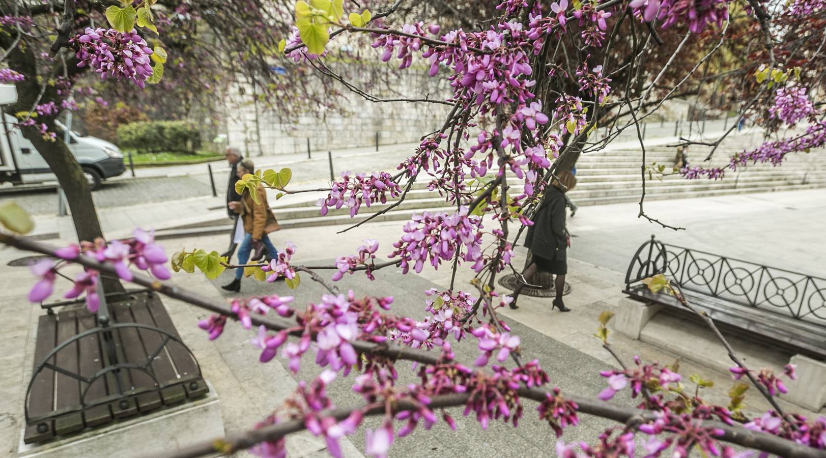 Lunes con descenso de temperaturas