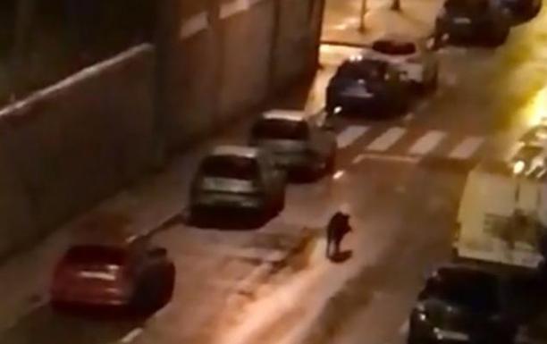 «Sólo se pueden hacer aguardos para controlar los jabalíes en el Buciero»