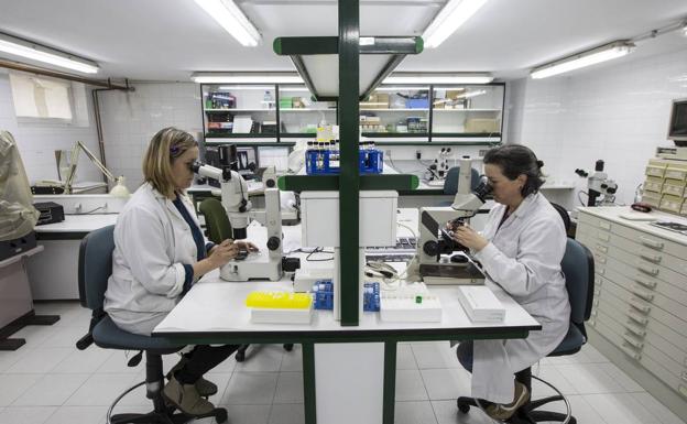 Problemas de ejecución presupuestaria bloquean diez proyectos del Instituto de Oceanografía en Cantabria