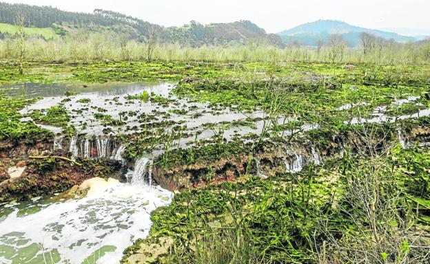 La marisma de Rubín vuelve a la vida