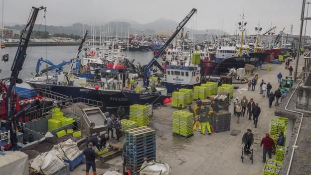 Un millón de kilos de bocarte entró ayer en las lonjas de la región