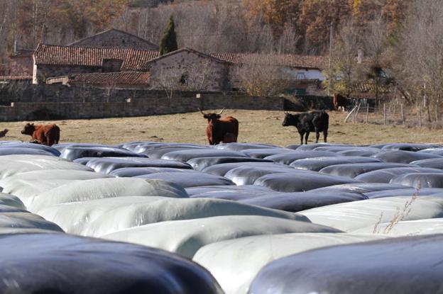 Enmedio y MARE firman un acuerdo para la recogida de plásticos ganaderos