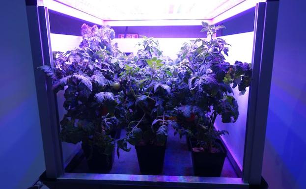 Jardines más allá de la atmósfera, el nuevo reto de la exploración espacial