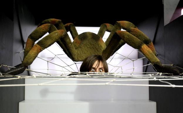 La exposición 'Ilusionismo, ¿magia o ciencia?' recala en Santander