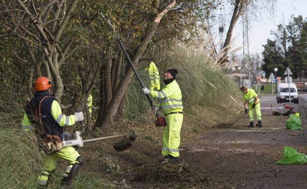 Camargo suma 89 trabajadores a la plantilla municipal