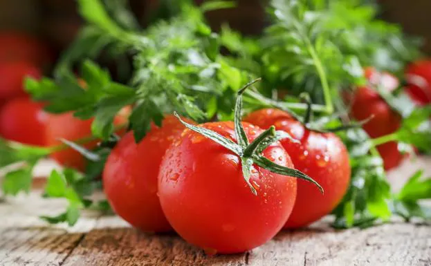 La sabrosa historia del tomate