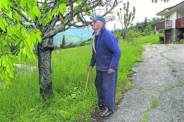 Los osos vuelven a Cambarco