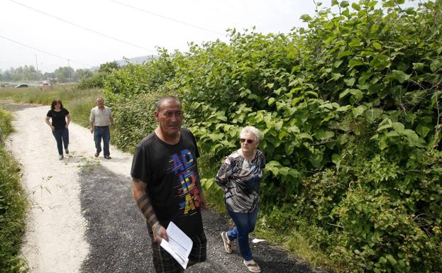 «Las ratas se nos meten en casa»