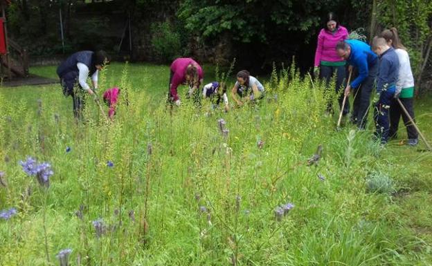 Bárcena abre un jardín para conocer de cerca las mariposas