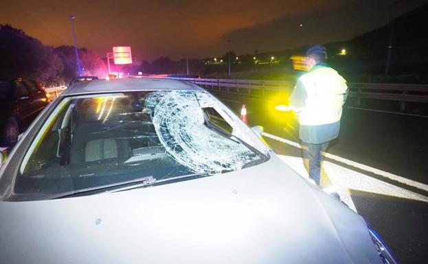 Atropello mortal en la A-67 a la altura de Puente Arce