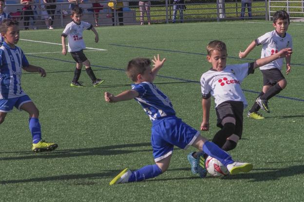 El semillero del fútbol cántabro