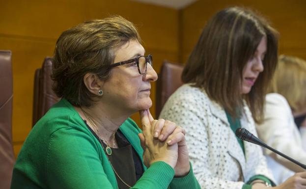 La consejera admite que «hay errores y algunas incidencias contractuales que valorar»