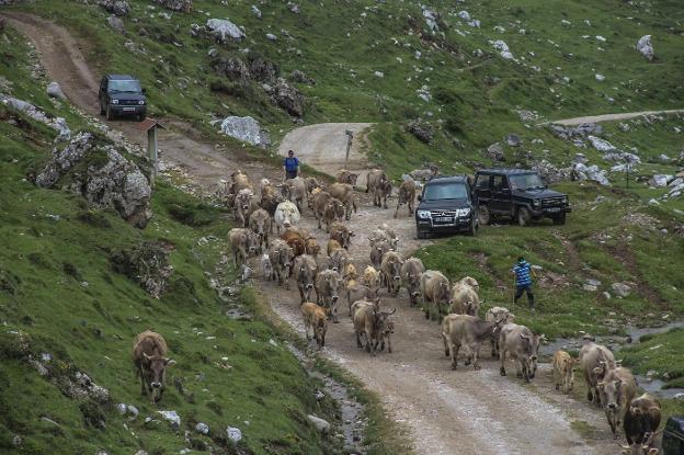 Camaleño cumple con la tradición