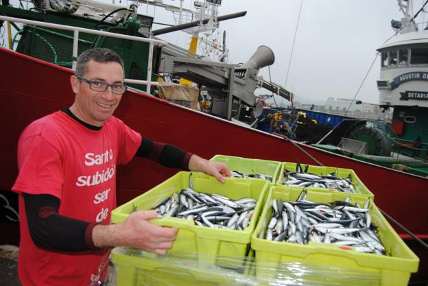 La Cofradía subastó casi 5 millones de kilos de bocarte en el primer semestre