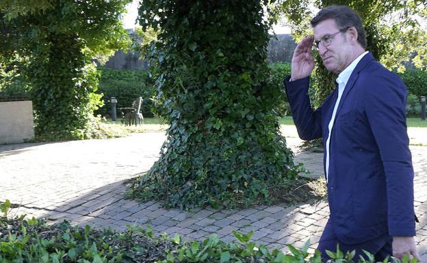 Feijóo renuncia a competir por la sucesión de Rajoy y el PP se prepara para la batalla interna