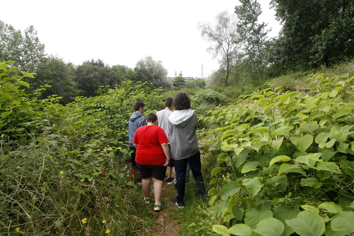 Los usuarios de la senda fluvial del Saja-Besaya denuncian su progresivo «abandono»