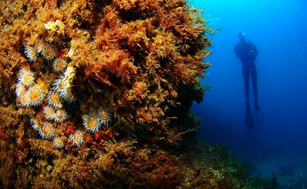 Mouro, la isla salvaje de la bahía