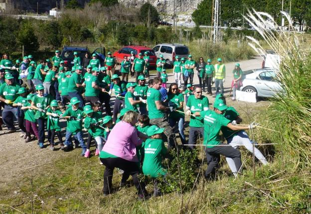 Santoña hará inventario de la zonas tomadas por plumeros en el municipio