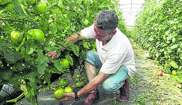 «La calidad se produce, no se controla»