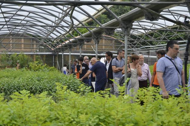 El centro etnobotánico del Anillo Verde abre sus puertas junto a la cueva de El Pendo