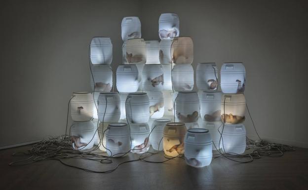 Paloma Navares llena de luz la Sala Robayera