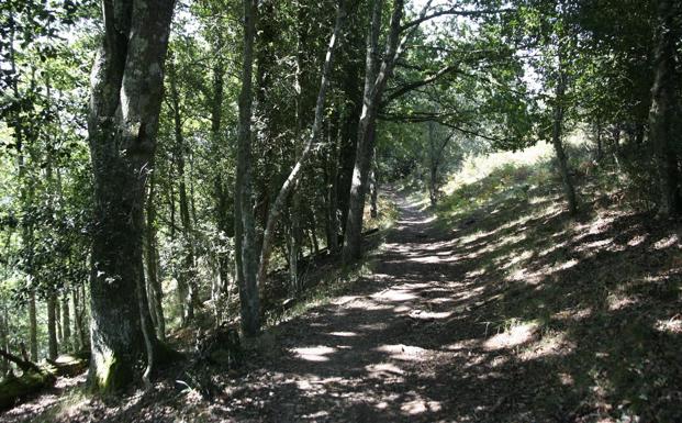 Diez rutas para disfrutar de la naturaleza