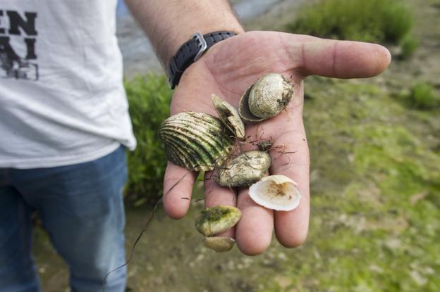 Medio Ambiente detecta vertidos de aguas fecales en varios puntos de la costa