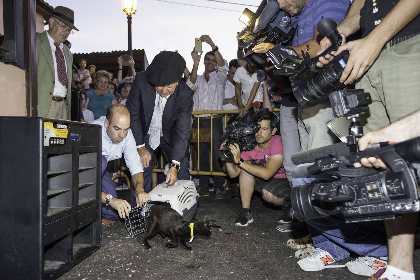 La asociación Amigat solicita a la Fiscalía que declare «ilegal» la fiesta de la gata negra