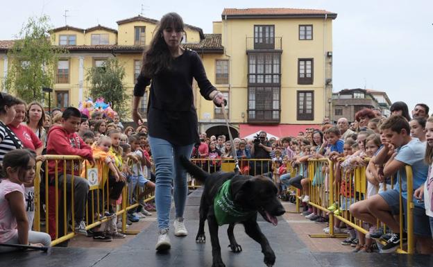 Jornada festiva para fomentar la adopción y el respeto a los animales