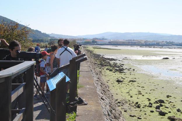 El Festival de Migración de las Aves se celebrará del 21 al 23 de septiembre