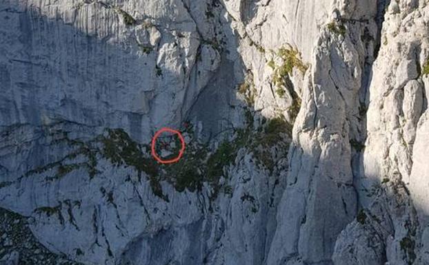 Rescatado en helicóptero un montañero atrapado en una pared de Picos de Europa