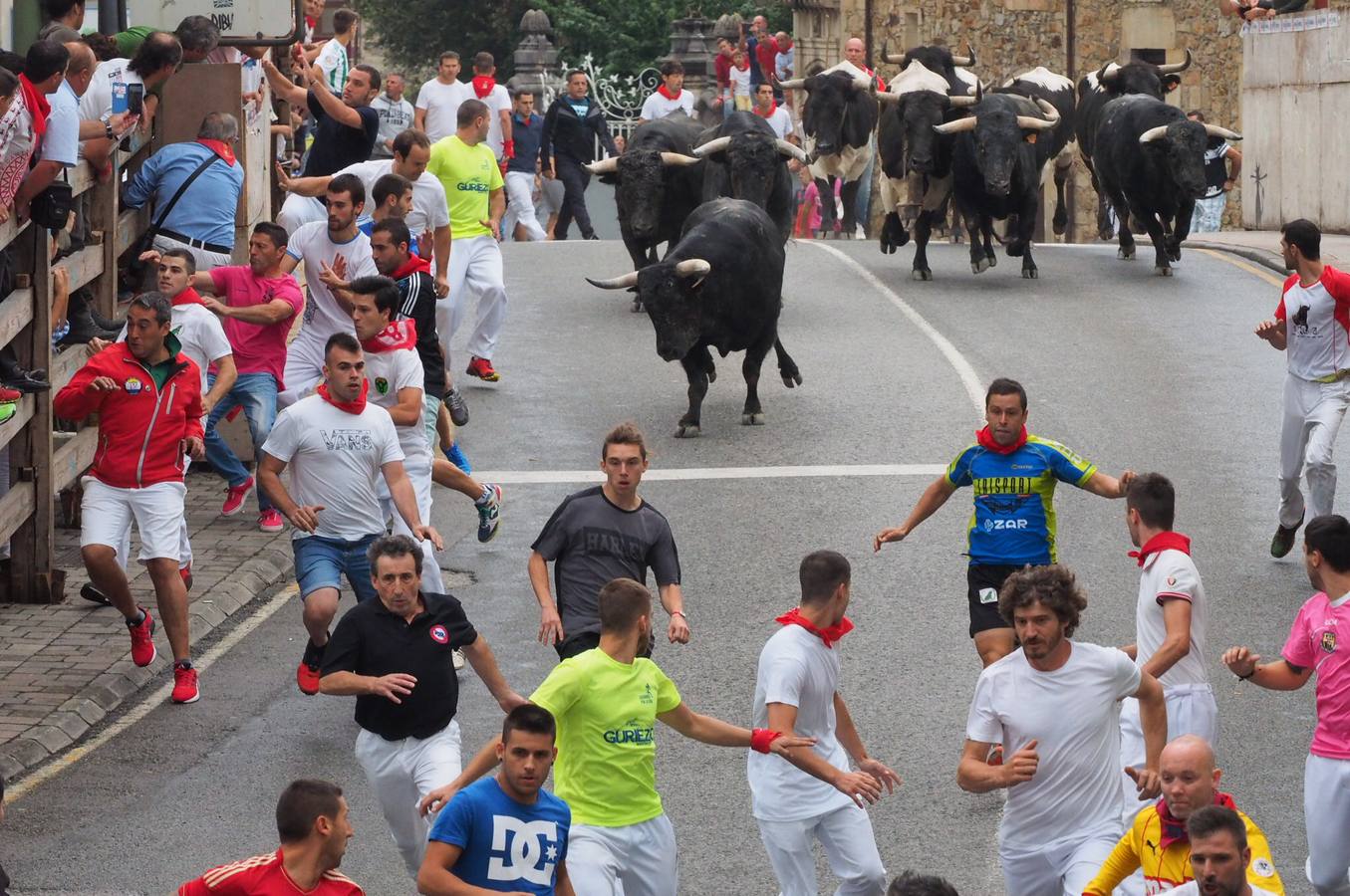 Imágenes del primer encierro de las fiestas de Ampuero