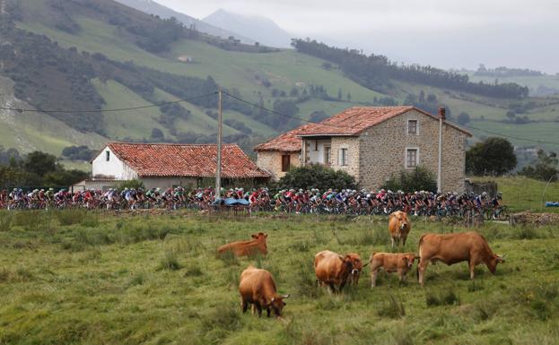 El paso de La Vuelta por Cantabria obligará a cortar varias carreteras durante la etapa