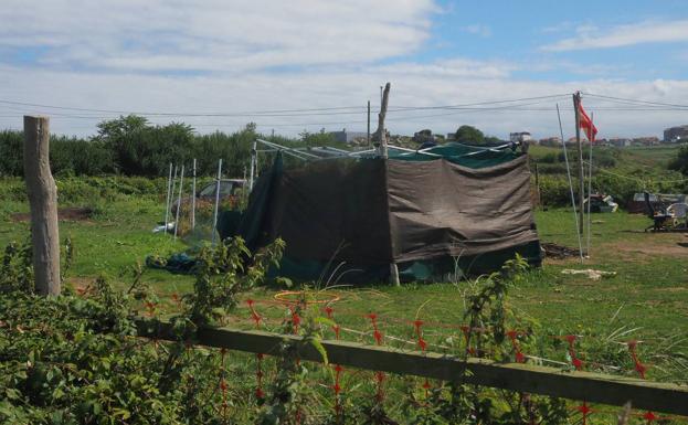 Detenida una pareja por cultivar marihuana en Monte